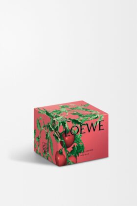 Exfoliante corporal «Hojas de tomatera»