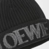 Gorro de lana de loewe