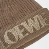 Gorro de lana de loewe