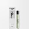 Loewe Aire Sutileza, frasco de 15 ml