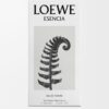 Loewe Esencia EDT 100 ml