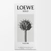 Loewe Solo Vulcan EDP 50 ml
