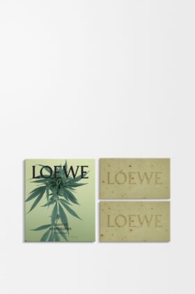 Set de dos pastillas de jabón con aroma a Marihuana