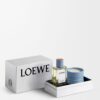 Set de regalo de bolas de ciprés de LOEWE Perfumes para el hogar