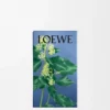 Spray para el hogar de hiedra
