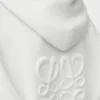 Sudadera con capucha y cremallera «Anagram» de lana