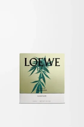 Vela de tamaño mediano con Scent of Marihuana