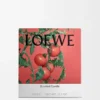Vela grande «Hojas de tomatera»