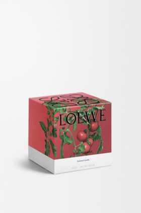 Vela «Hojas de tomatera» mediana