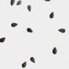 Vela Midi Black Sesame