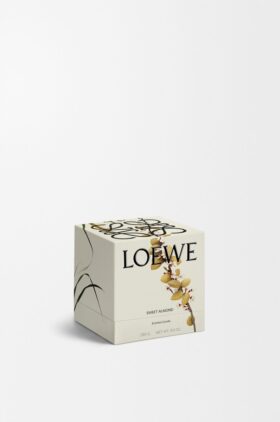 Vela Midi Sweet Almond